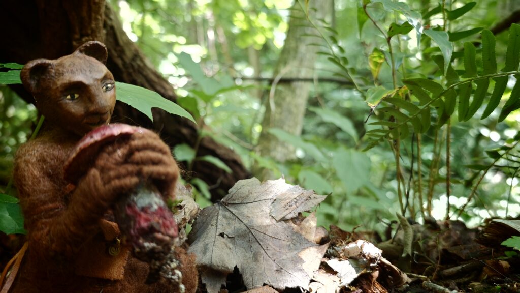 Allister Finds a Mushroom